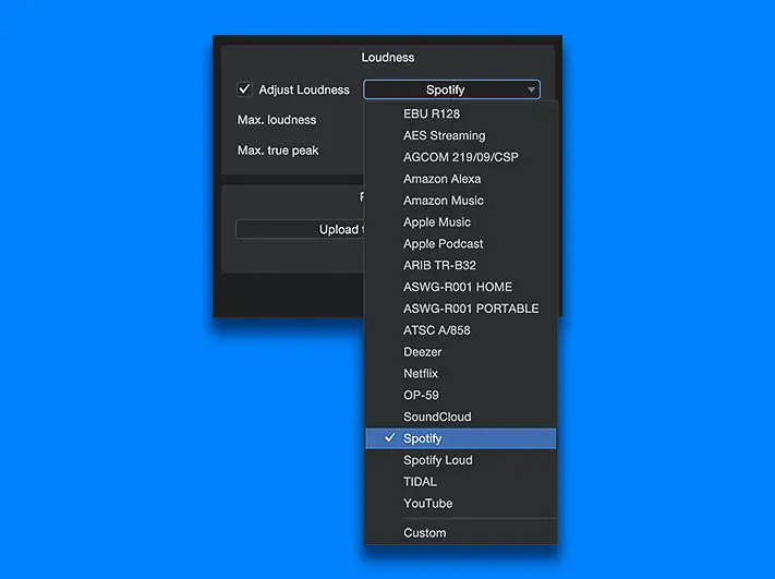 Target loudness options